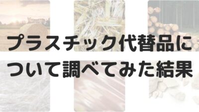 プラスチックの代替品６種類と環境に優しいプラスチック２種類を紹介